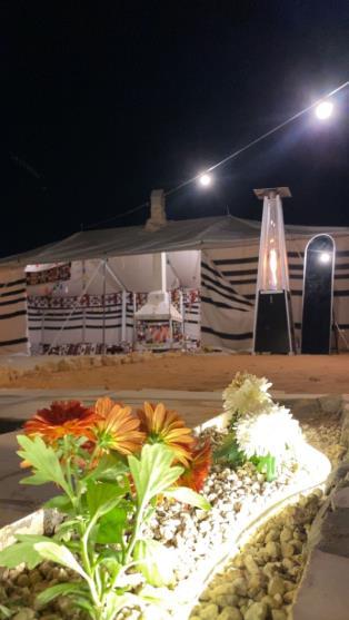 Desert Vibes Camp Image 1
